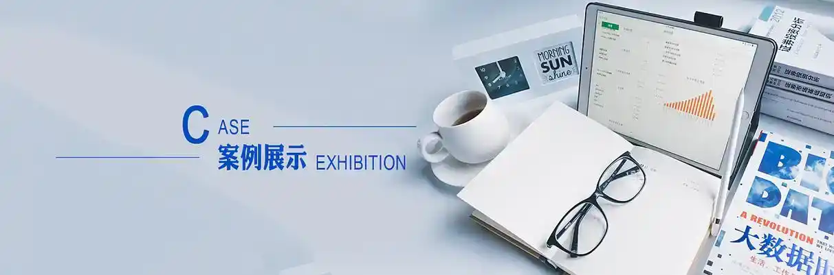 莱西市软件开发